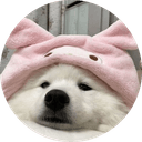 Snowy Inu