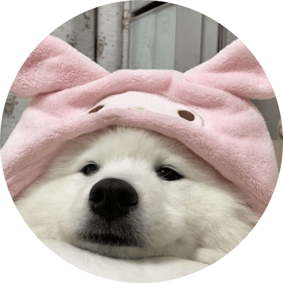Snowy Inu logo