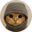 Sock and Pussy 500