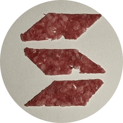 solami logo