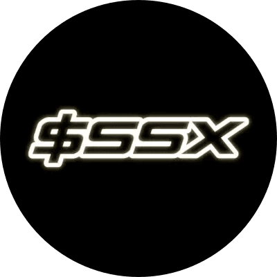 Solana Stock Index logo