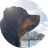 NALA