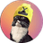 xencat