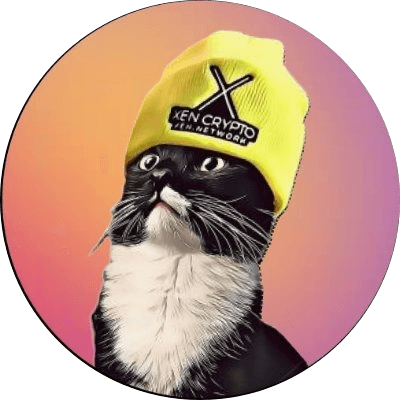 SolXenCat logo