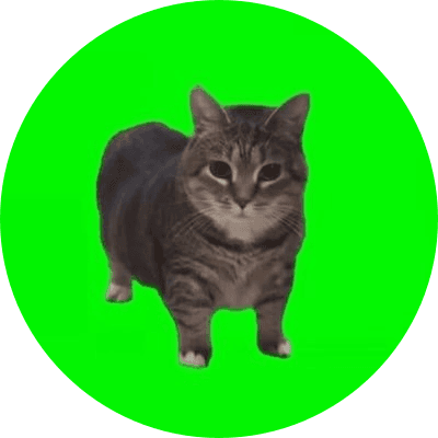 spinning cat logo