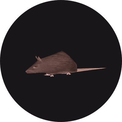 Spinning Rat logo