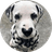 SPOT