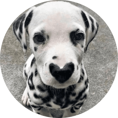 Spot logo