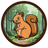 SQUIRRY