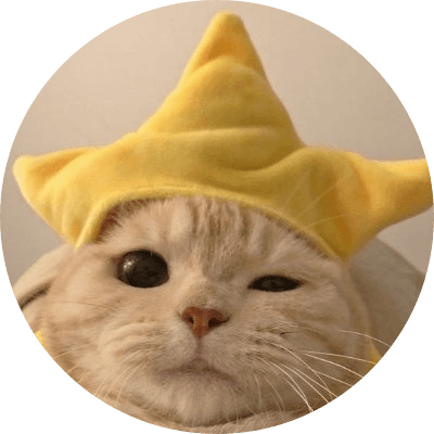 STAR CAT logo