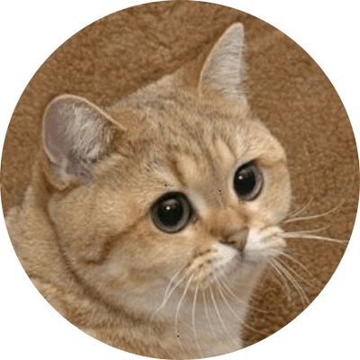 Starecat logo