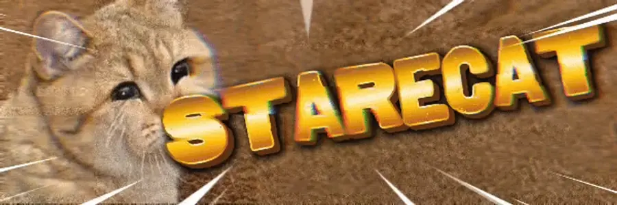 Starecat banner