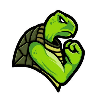 Steady logo