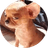 SRP