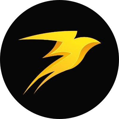STORM logo