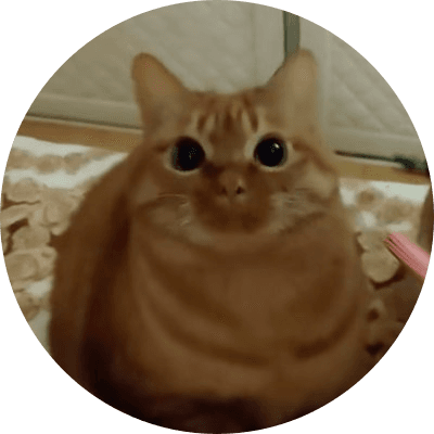 stupid orange cat logo