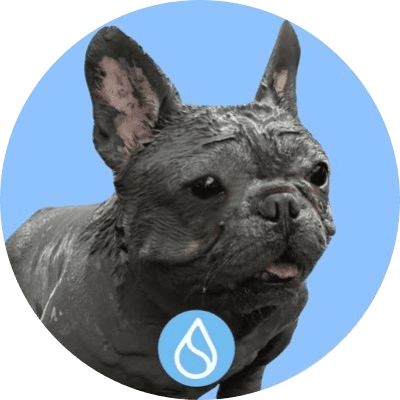 sudog logo