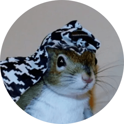 Sugar Bush the Squirrel logo