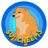 CHEEMS