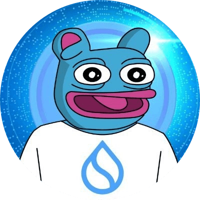 SUIBRETT logo