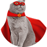 Supercat