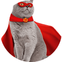 Supercat