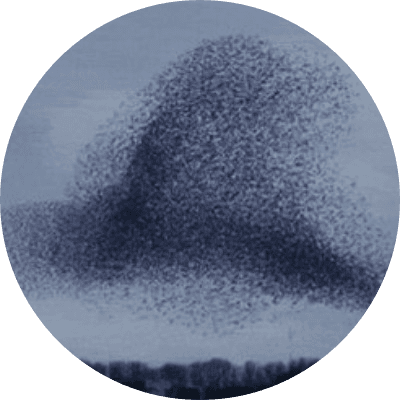Swarm logo