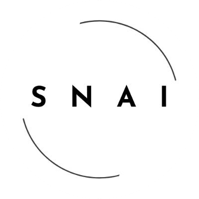 SwarmNode.ai logo