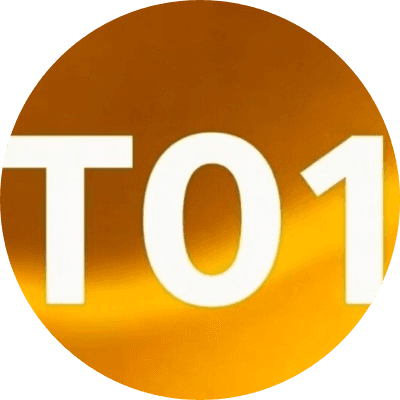 T01 logo