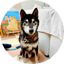 Takki