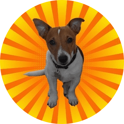 TANGO logo