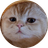 TAOCAT