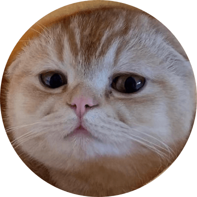 TAOCat by Virtuals logo