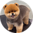 TED