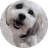 TEDDY 
