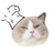 PUFF
