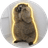 MARMOT