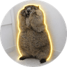 The Anxious Marmot