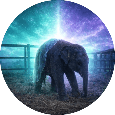 The Baby Elephant logo