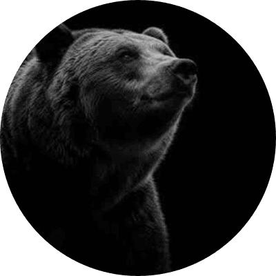 The Bear logo