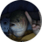 BigTrout