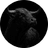 BULL