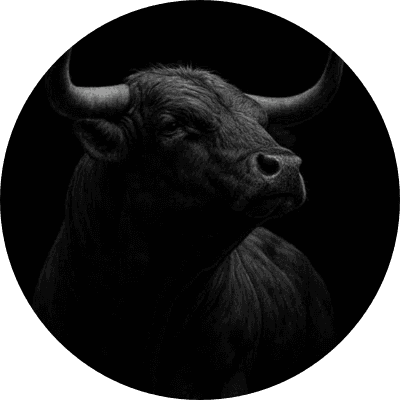 The Bull logo