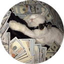 The Cat