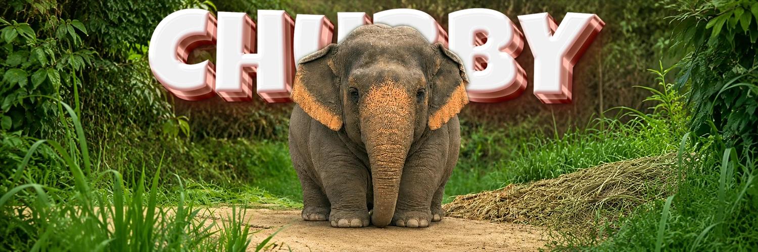 The Chubby Elephant banner
