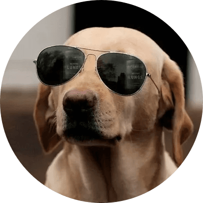 The Crypto Dog logo