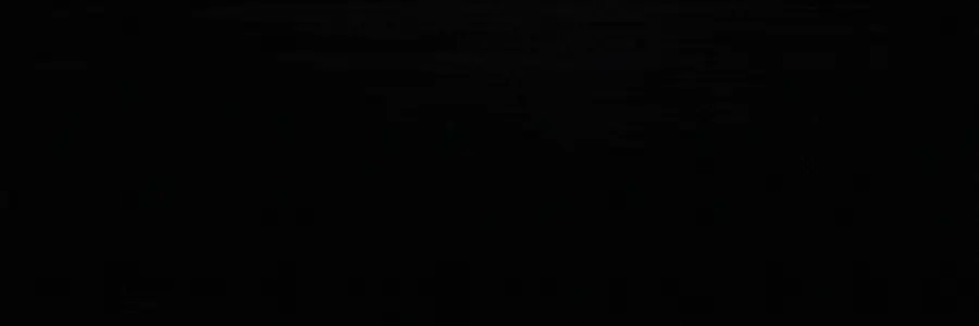 The Crypto Dog banner