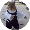 The Dancing Squirrel