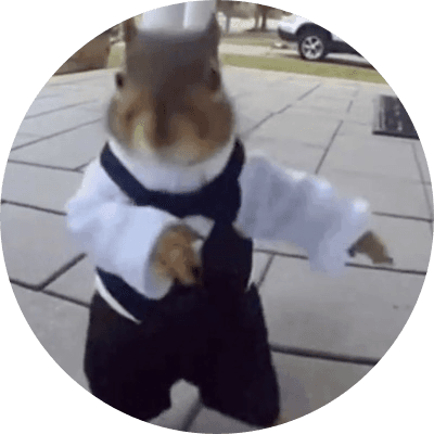 The Dancing Squirrel logo