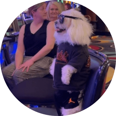 The Degen Dog logo